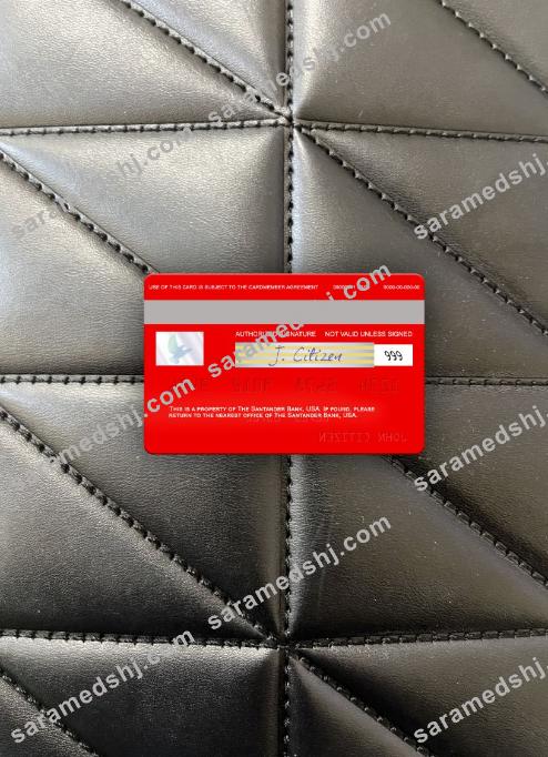USA Santander Bank visa card photolook back